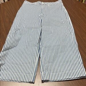 Madewell Emmett Wide-Leg Crop Pants in Herringbone Railroad Stripe, size 30